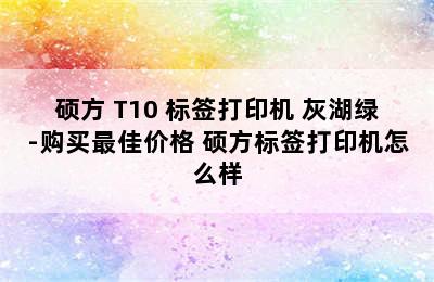 硕方 T10 标签打印机 灰湖绿-购买最佳价格 硕方标签打印机怎么样